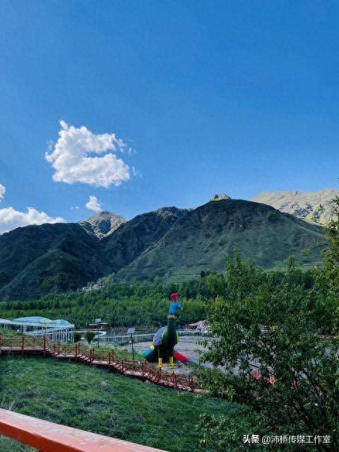 望仙谷：武夷山脉中的生态瑰宝与地质奇观