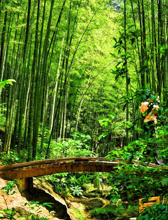 世界上只有江苏才有的十二大奇景！