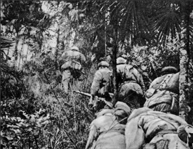 1950年，5000土匪包围解放军，匪首听错哨兵一个字，我军化险为夷