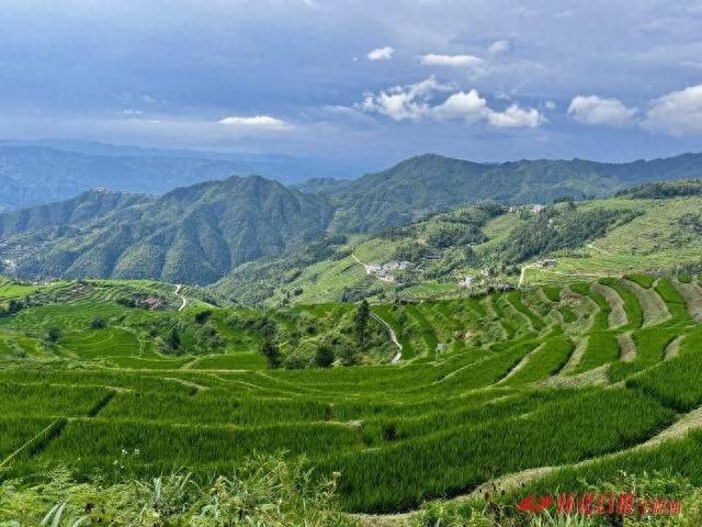 福地怀化 · 康养季 | 溆浦山背花瑶梯田：凉风拂面 梯田如画