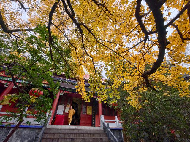 秋入皇藏峪，醉品蘑菇鸡：一段关于色彩与香气的记忆