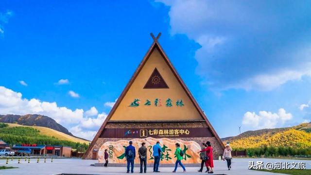 宝藏目的地！秋日来七彩森林采蘑菇，带娃敞开玩
