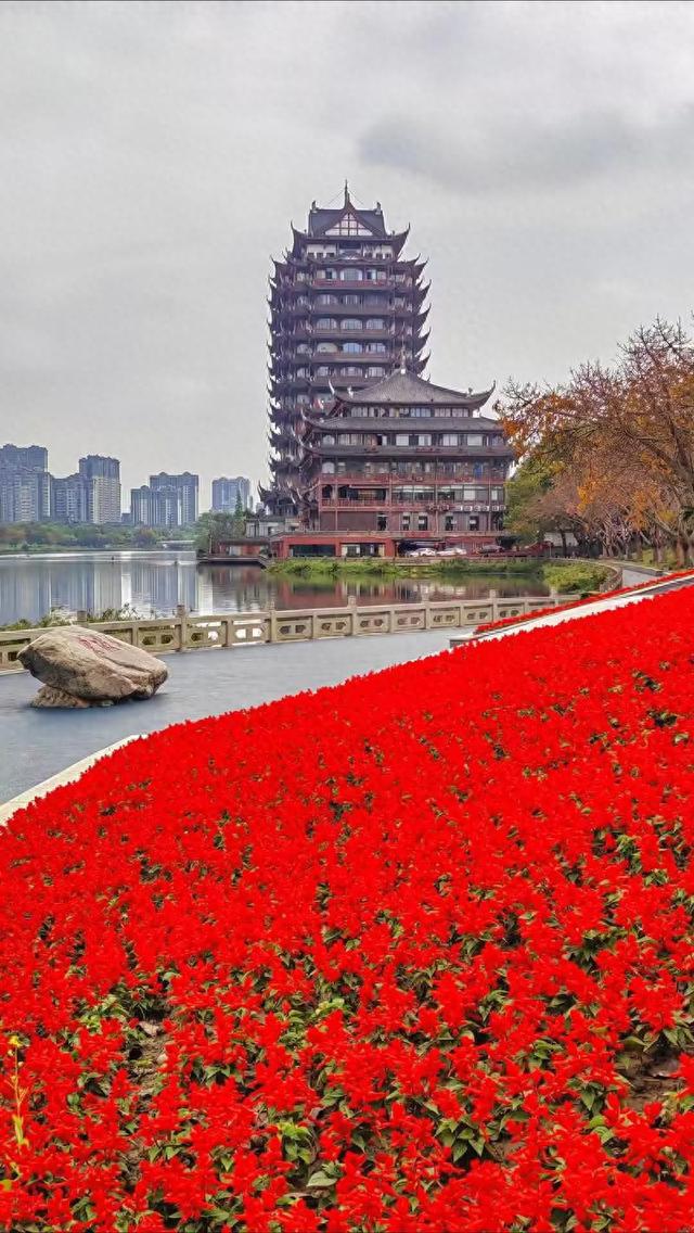 川渝再行记之二十四 眉山篇之二十三 东坡湿地公园（1）