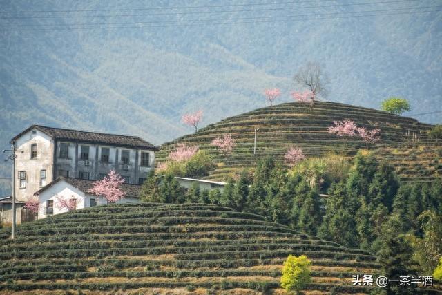 自驾游必看！福建宁德市免费停车露营地，必玩景点，特色美食