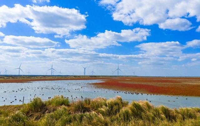 初冬条子泥湿地美如画