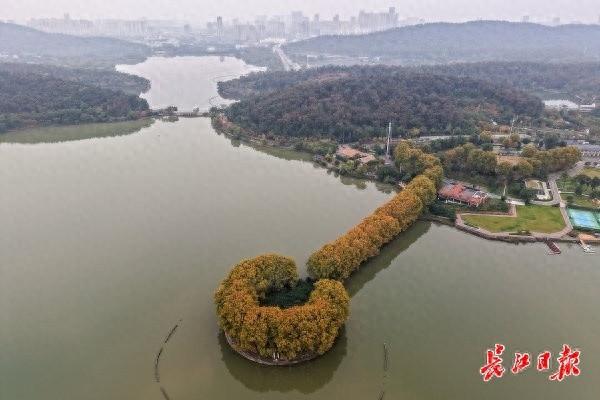 东湖里藏着一把“金钥匙”