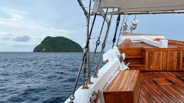 探远岛，交朋友