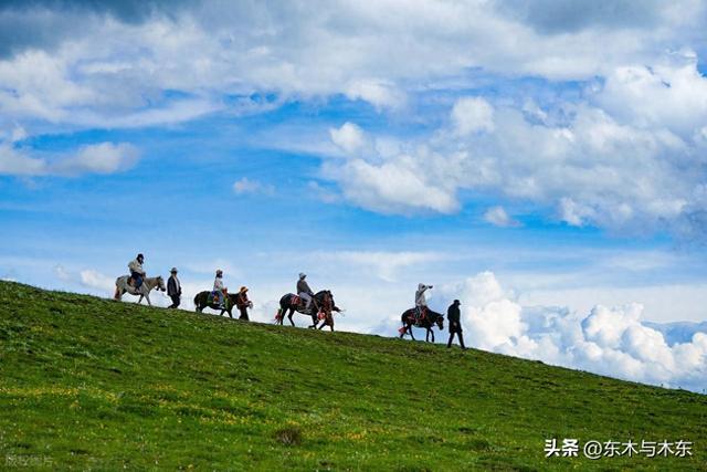 局长骑马，被吓着了
