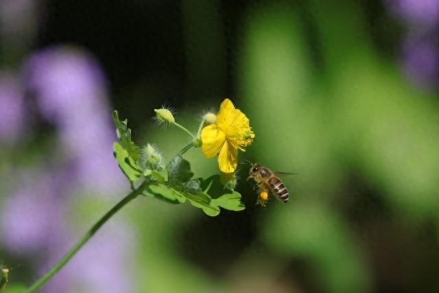 一个问题的联想