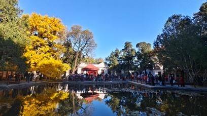香山红叶红透了，再不去就要等明年