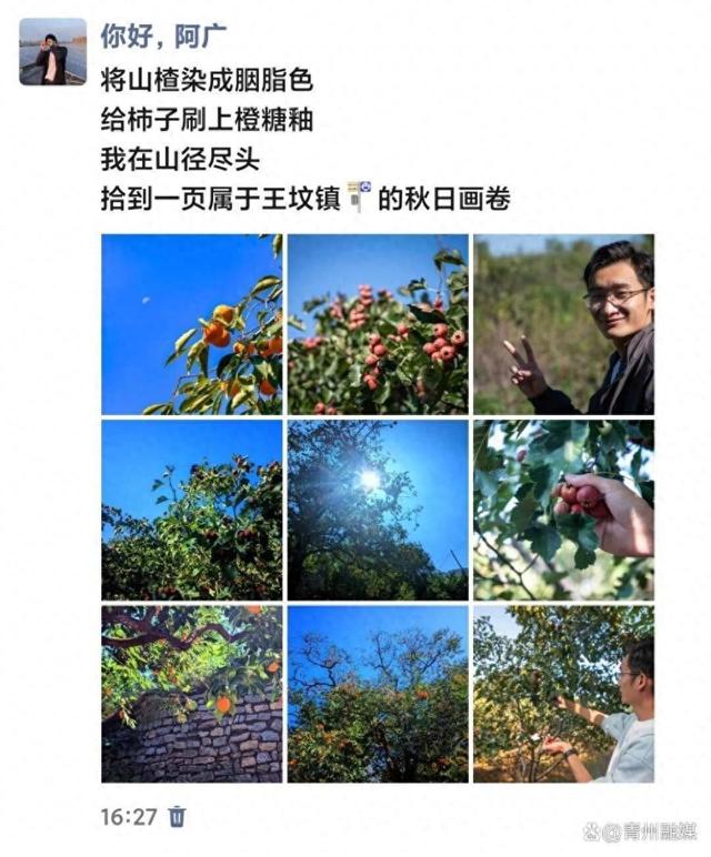 王坟秋记：静看漫山红遍 慢数似水流年