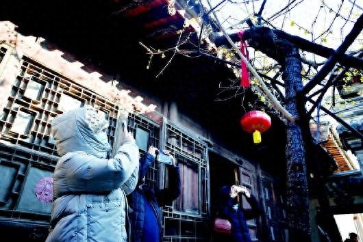 【图片新闻】天水民俗博物馆蜡梅如约盛开