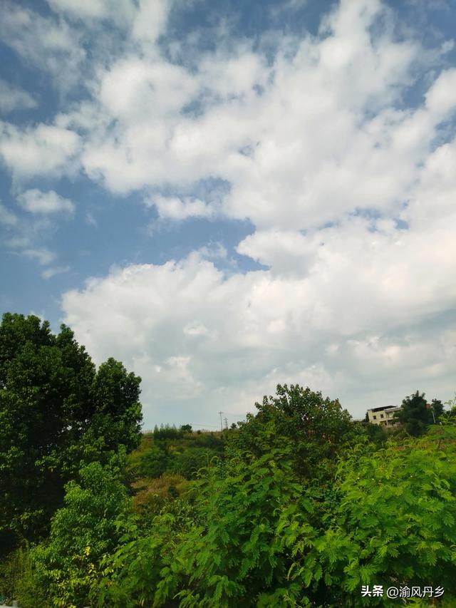 重庆奔赴抚仙湖沿途风景