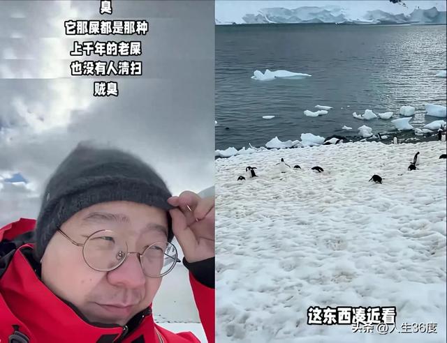 李诞南极行"翻车":不是南极不好,是我们误解了旅行的意义