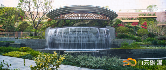 候机还可以逛公园！白云机场T3航站楼打造全国最大空侧原生态花园