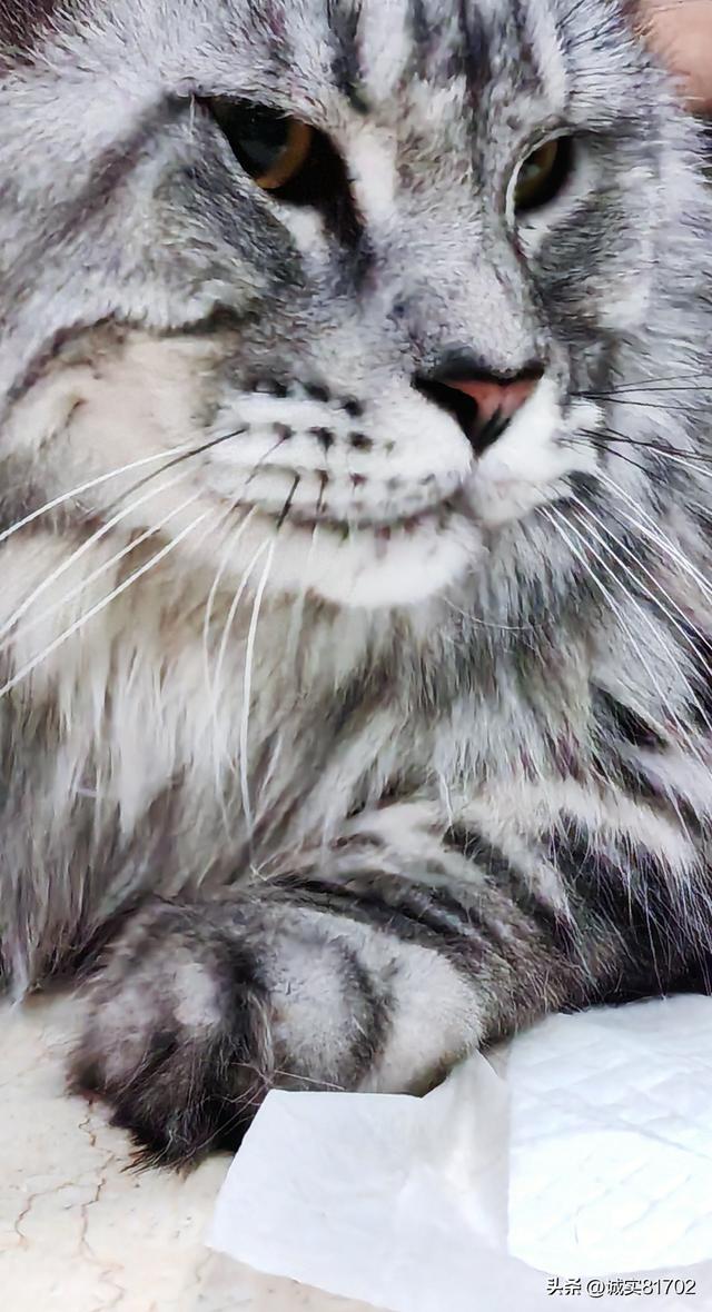 真的无语，挑拨离间的人真可恶，亲戚的两个儿媳妇，竟然反目成仇