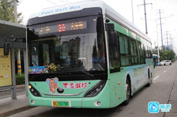 潍坊象“祥祥”全城巡游！1600辆公交车变身流动文化风景线