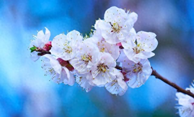 我把三十五岁的大龄剩女撵出了家门	，等端正了态度再回来。