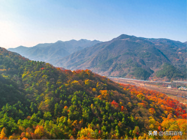 秋色正斑斓！信阳赏秋打卡地推荐