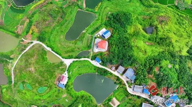 35公里、28家企业！湖南衡阳这条农文旅环线一路甜蜜蜜