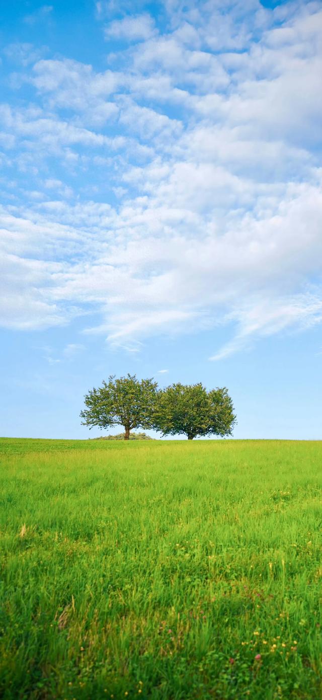 手机壁纸|风景