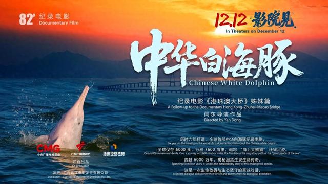纪录电影《中华白海豚》今日上映，解锁粤港澳大湾区生态人文密码