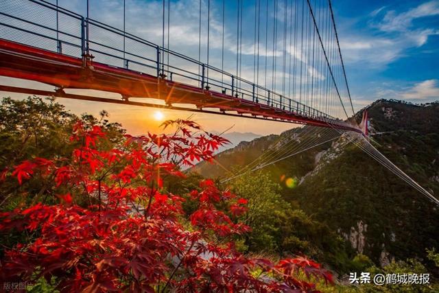 免费游山东！这五省的朋友赶紧冲！你看看有你吗？