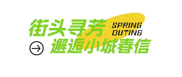 你说一句春光好，我就装满了一筐的文昌春天给你！