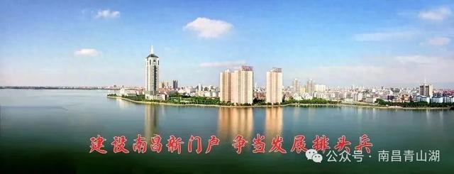 150+动物造型藏进万株菊海,天香园菊展开展