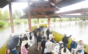 2025一带一路媒体合作论坛嘉宾给出好评——滇池治理与生态文旅融合成果令人赞赏