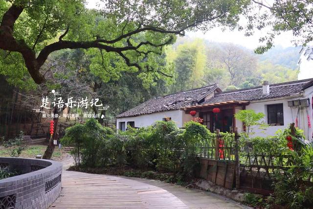 宁波慈溪的千年古村，古樟公园已经足够优美，昆虫乐园更加好玩