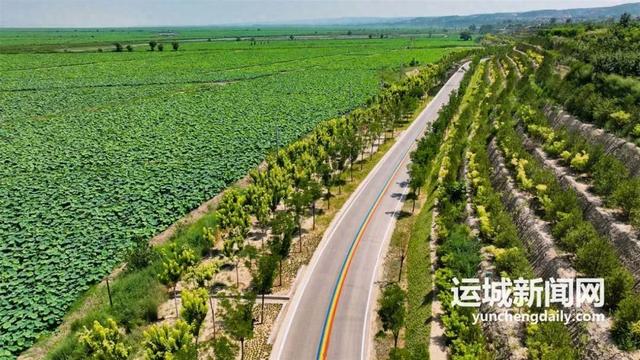 黄河一号旅游公路临猗段：黄河浪激处 大道谱新篇