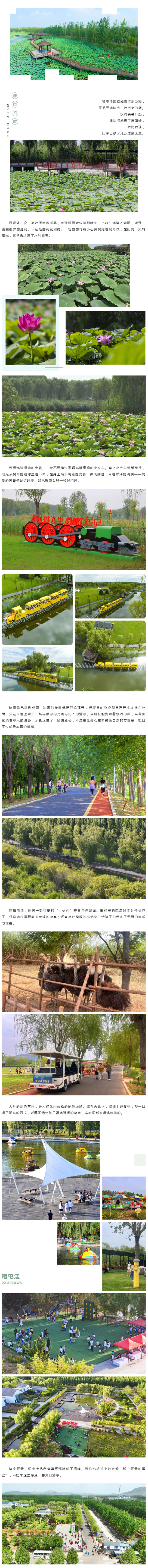 清凉一“夏”|从“邂逅”夏日微光，到“奔赴”稻屯洼的绿野