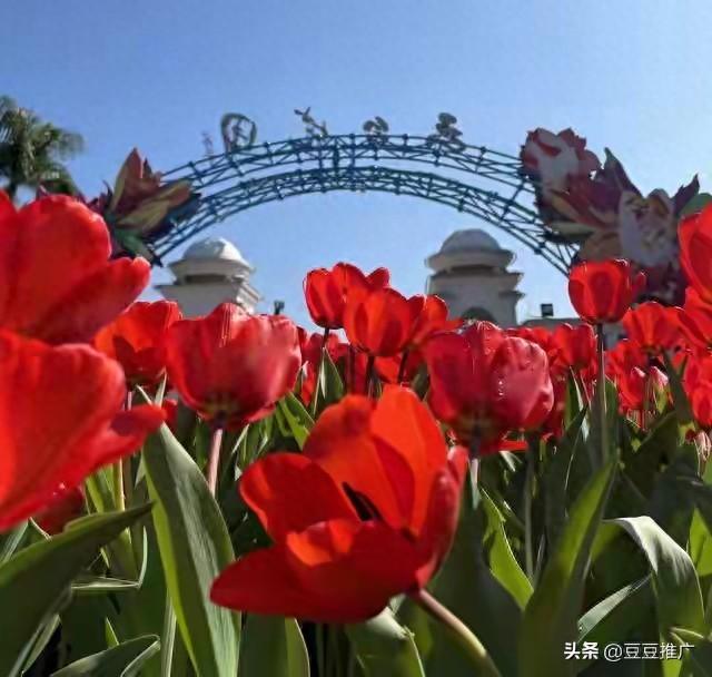 两性关系中，大多数女性害怕五十多岁的男性	，原因无非是以下几点