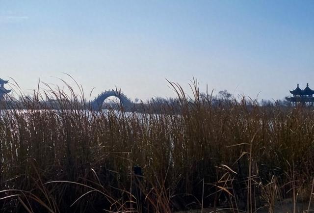 80 年代的东北江南园林，20年后变废墟，现靠几片叶子“死而复生”