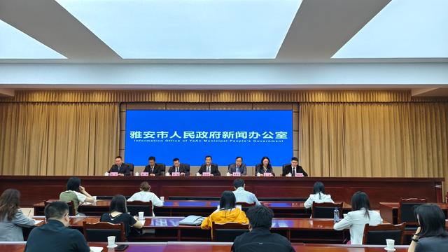 雅安网站优化（进一步推动经济运行回升向好 雅安优化新增11条市级政策举措）