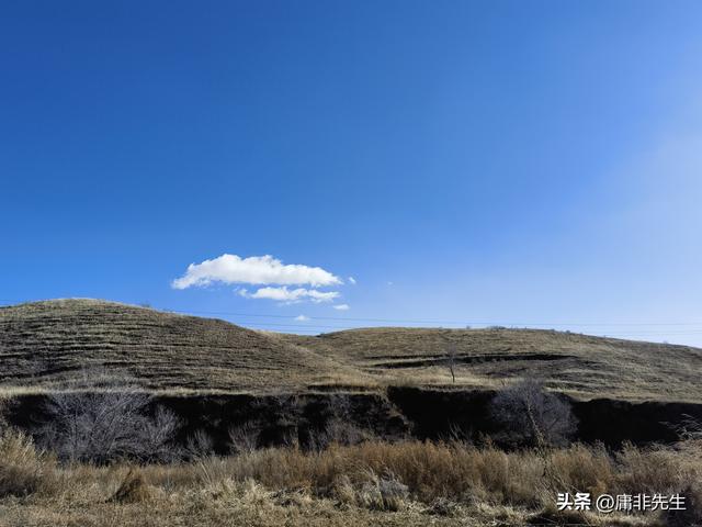 日记一则（2025年11月15日星期六）