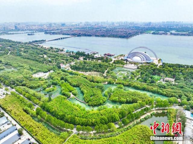 重走抗战路，一定要去一趟聊城！