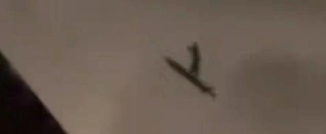 北京夜空惊现黑影，南宁街头窜出怪鱼，背后真相到底咋回事。
