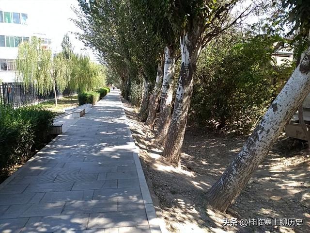 宁夏人文：银川红花渠传奇2，半城风光看残渠，谁还记得旧模样？