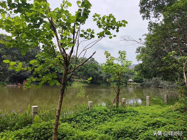 徒步笔架山，笔冠峰俯瞰深圳主城区，几十年的发展让人惊叹