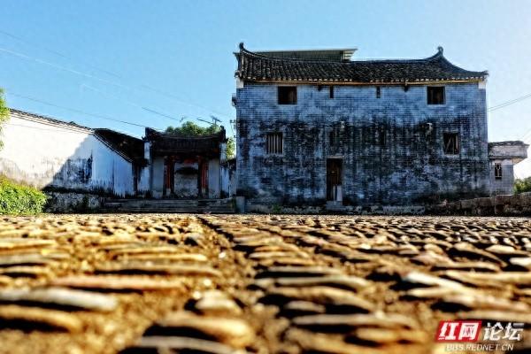古村新韵：青砖黛瓦里的时光交响