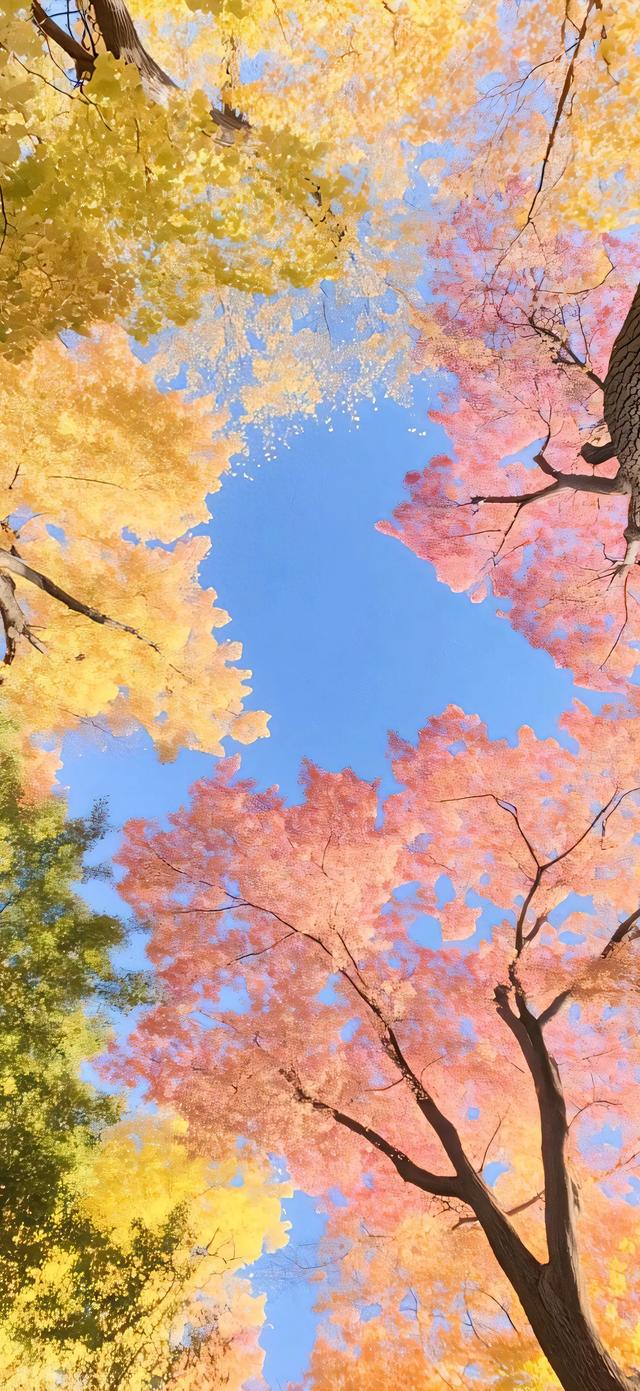 大树壁纸