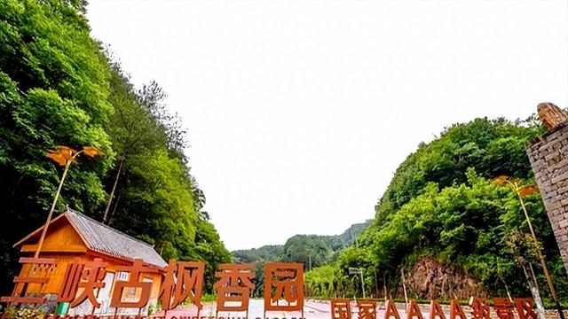 正式启动！万州一大波耍事来啦！快来“薅羊毛”……