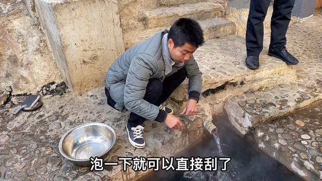 江西有个地方叫热水村，地下每天会冒出80度热水，用来脱牛毛真快