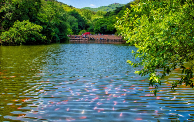 人气旺！鞍山夏日旅游市场热力全开