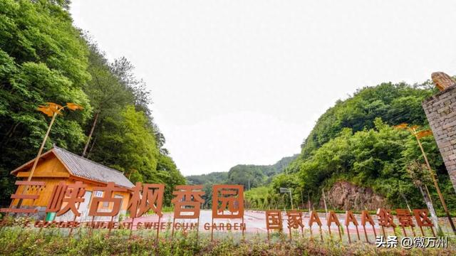 正式启动！万州一大波耍事来啦！快来“薅羊毛”……