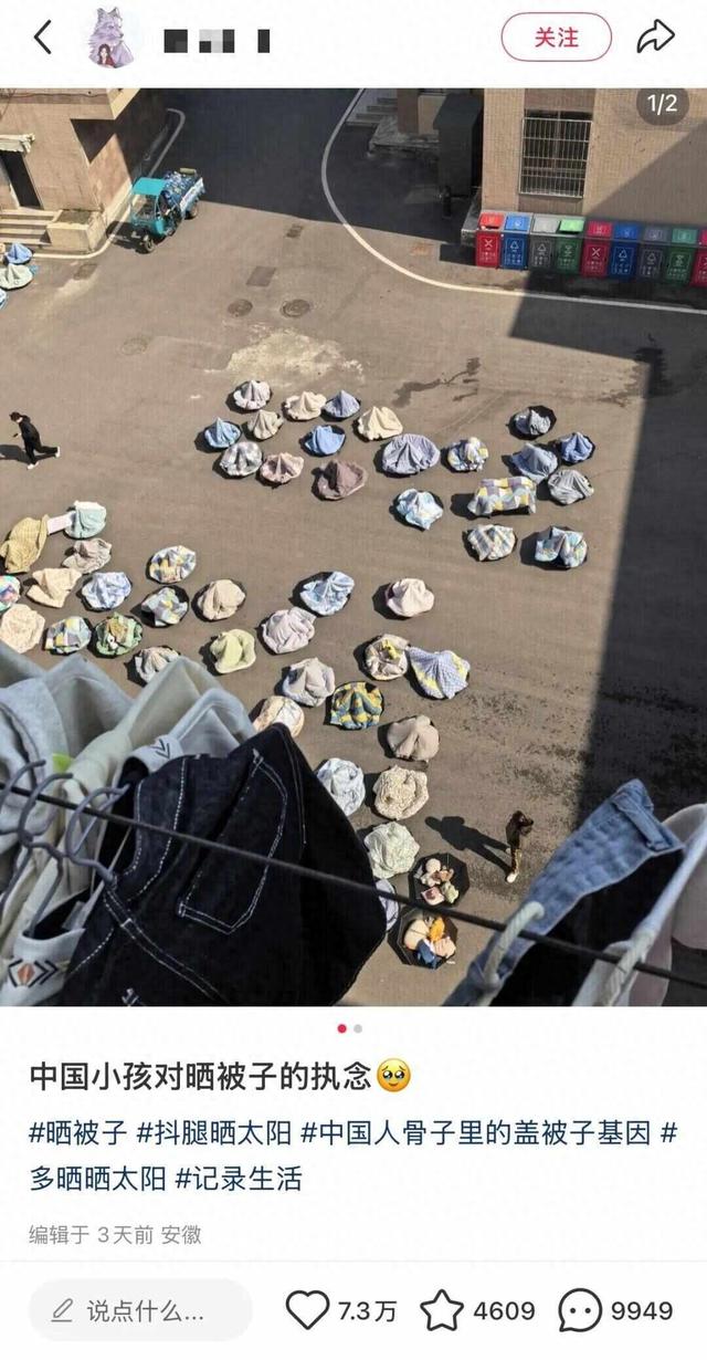 网友分享“伞上晒被”像彩色蘑菇！这份科学晒被攻略请收好