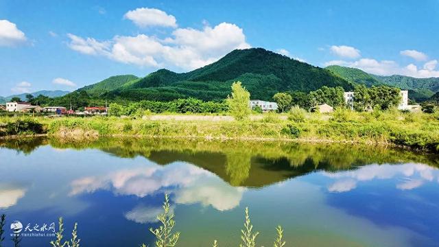 秦州区李子园成为最火爆避暑打卡地，旅游经济迎来新增长点！