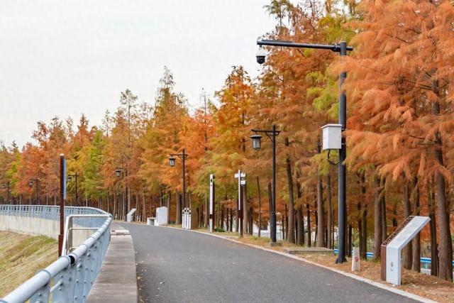 进化这里“红了”！冬日限定“调色盘”上线，等你来打卡